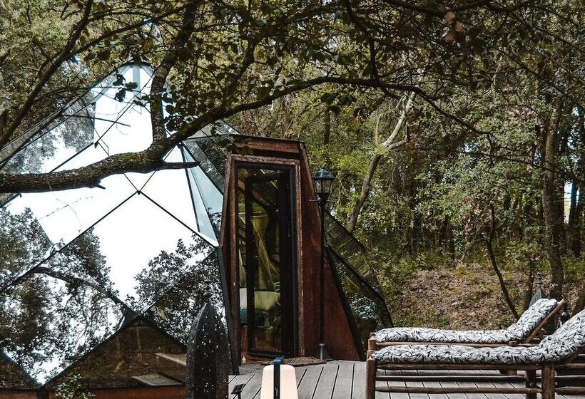 בית מלון כפרי Le Mas Cabanids