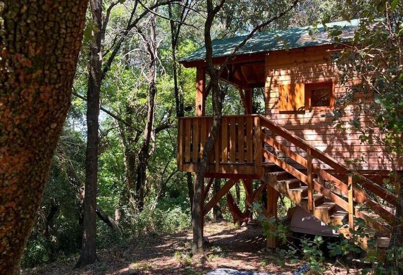 בית מלון כפרי Le Mas Cabanids