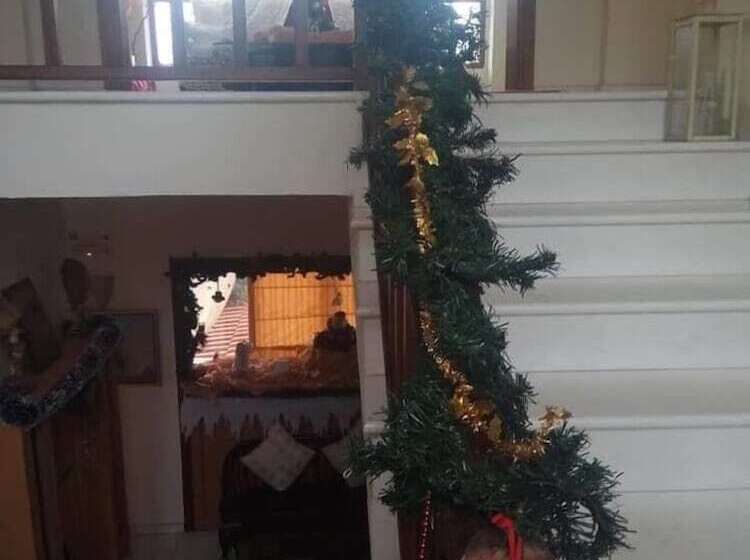 فندق Papanikolaou