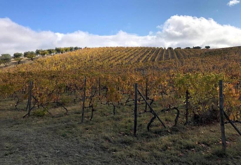 교외 호텔 Quinta Da Pereira E Enricas Agro Turismo