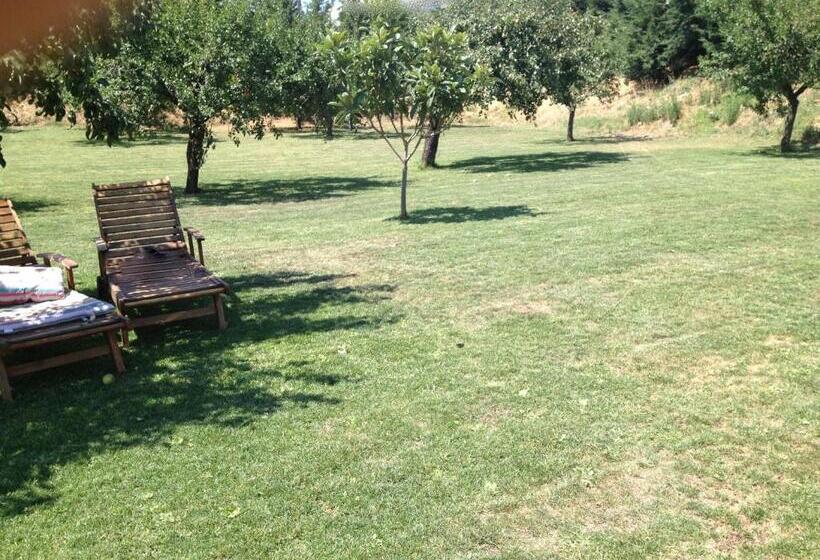 교외 호텔 Quinta Da Pereira E Enricas Agro Turismo