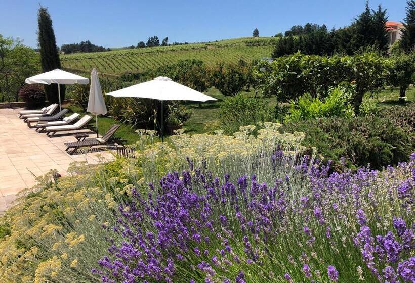 교외 호텔 Quinta Da Pereira E Enricas Agro Turismo