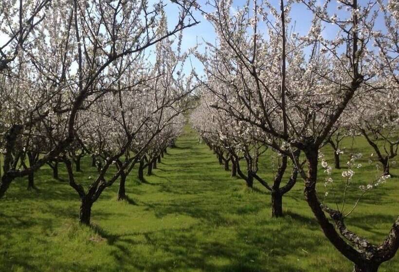 교외 호텔 Quinta Da Pereira E Enricas Agro Turismo