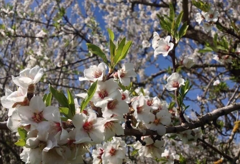 교외 호텔 Quinta Da Pereira E Enricas Agro Turismo