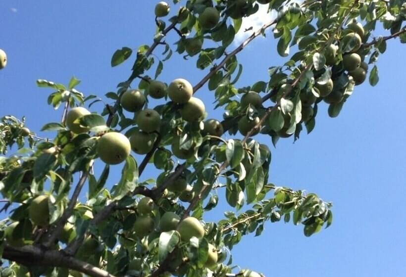 교외 호텔 Quinta Da Pereira E Enricas Agro Turismo