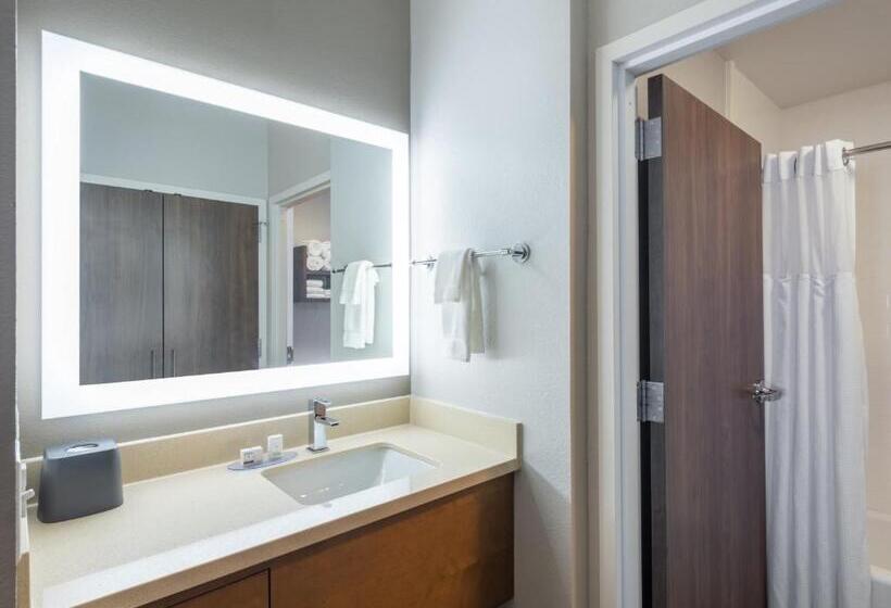 Отель Staybridge Suites   Sioux City Southeast, An Ihg