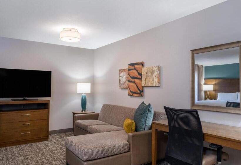 Отель Staybridge Suites   Sioux City Southeast, An Ihg