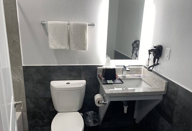 汽车旅馆  Palace Inn Crosby