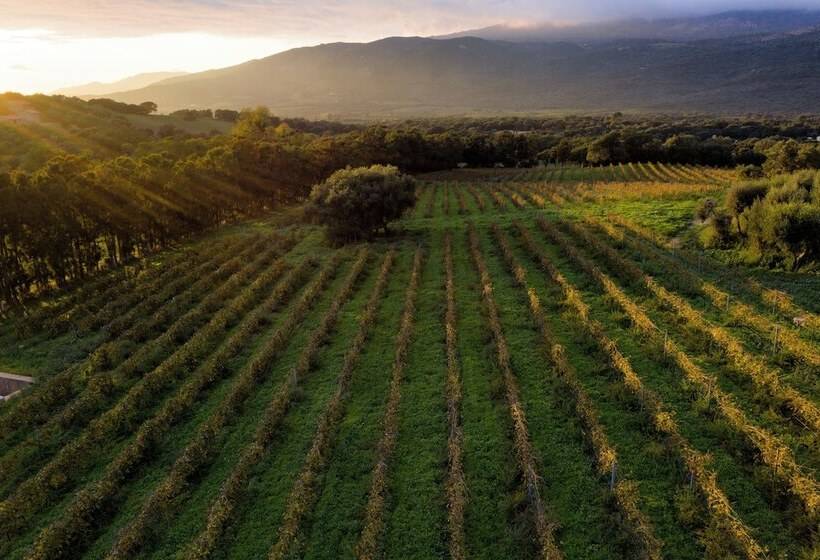 펜션 Domaine De Peretti Della Rocca