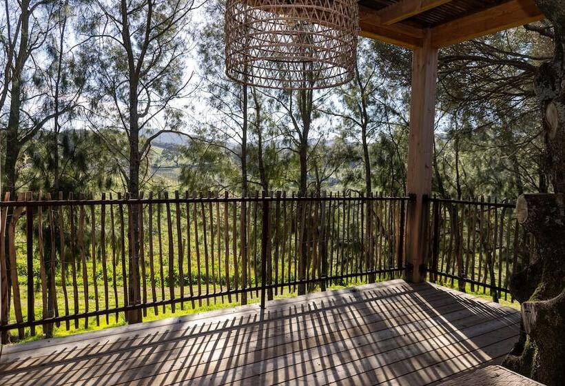 펜션 Domaine De Peretti Della Rocca