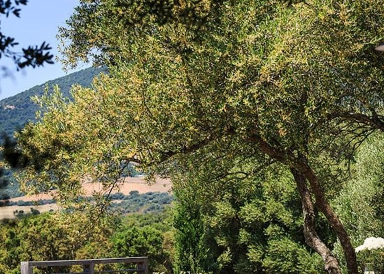 펜션 Domaine De Peretti Della Rocca