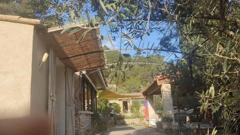 膳宿费 Le Frangipanier