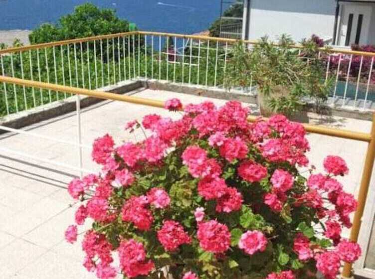 پانسیون Rooms Vinka Tudor