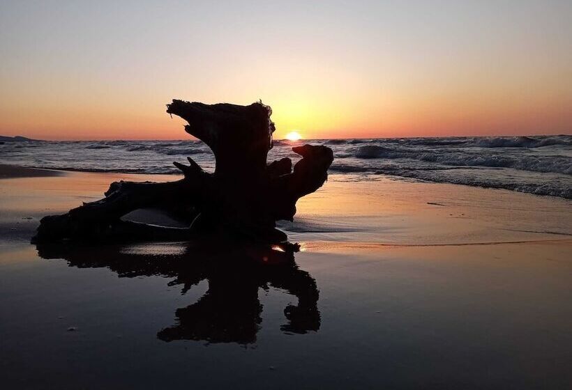 Sunshine Motel And Cabins