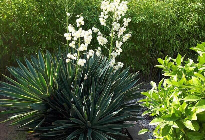 تختخواب و صبحانه Aigues Marines