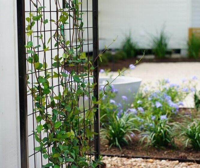 민박 Farmstead Round Top