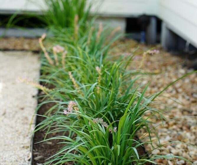 민박 Farmstead Round Top