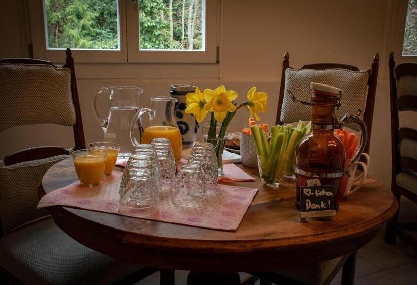 צימר Villa Pochon