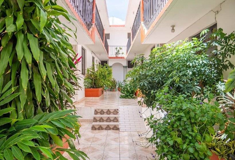 בית מלון כפרי Arena Surf