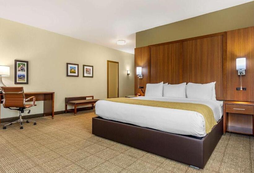 هتل Comfort Inn & Suites Lakewood By Jblm