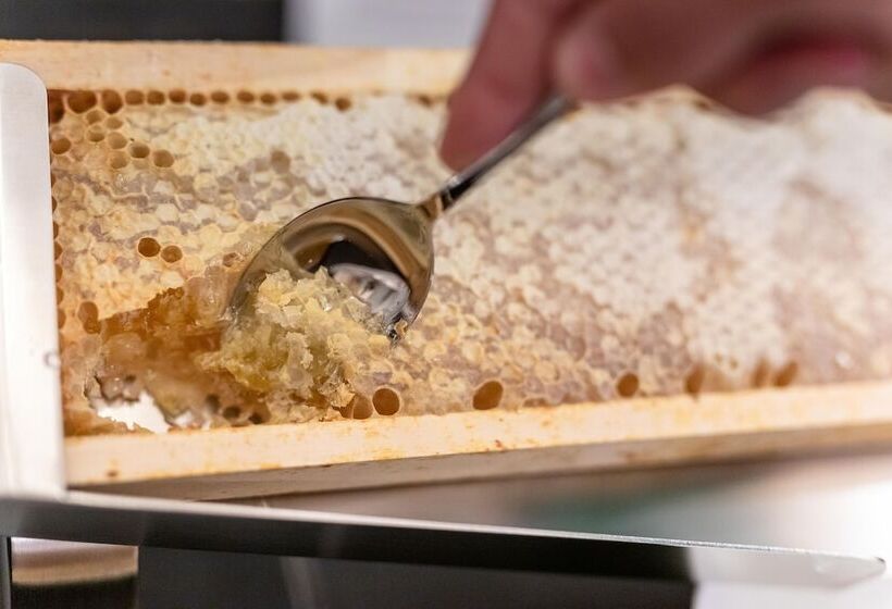 هتل Curt Di Clement Eco Mobility