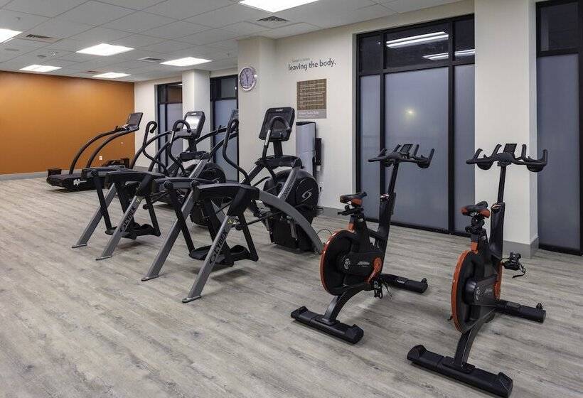 Even Hotels   Shenandoah   The Woodlands, An Ihg