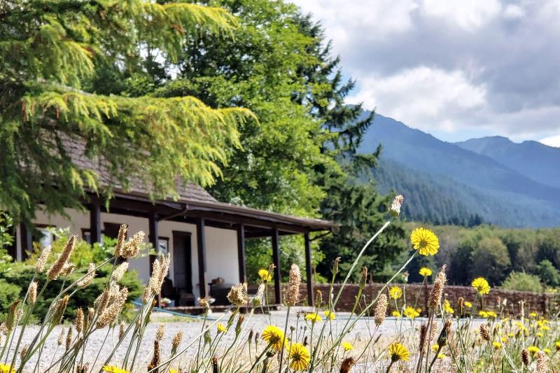 فندق Paradise Village