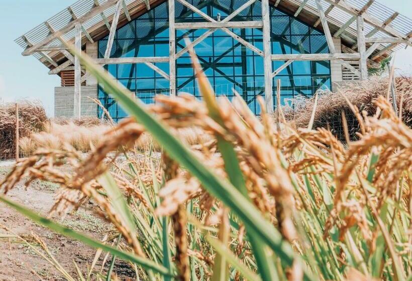 ホテル Quinta Da Comporta  Wellness Boutique Resort