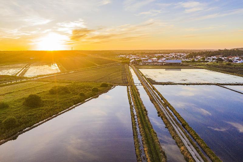 ホテル Quinta Da Comporta  Wellness Boutique Resort