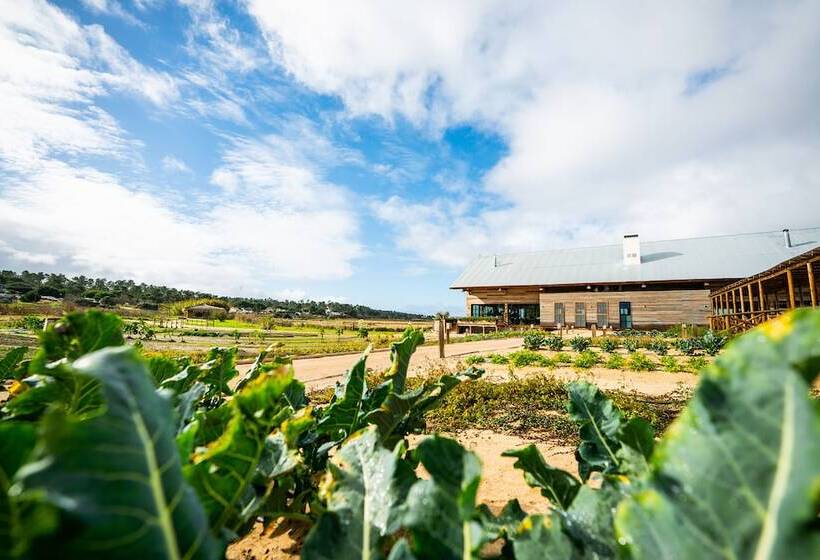 ホテル Quinta Da Comporta  Wellness Boutique Resort