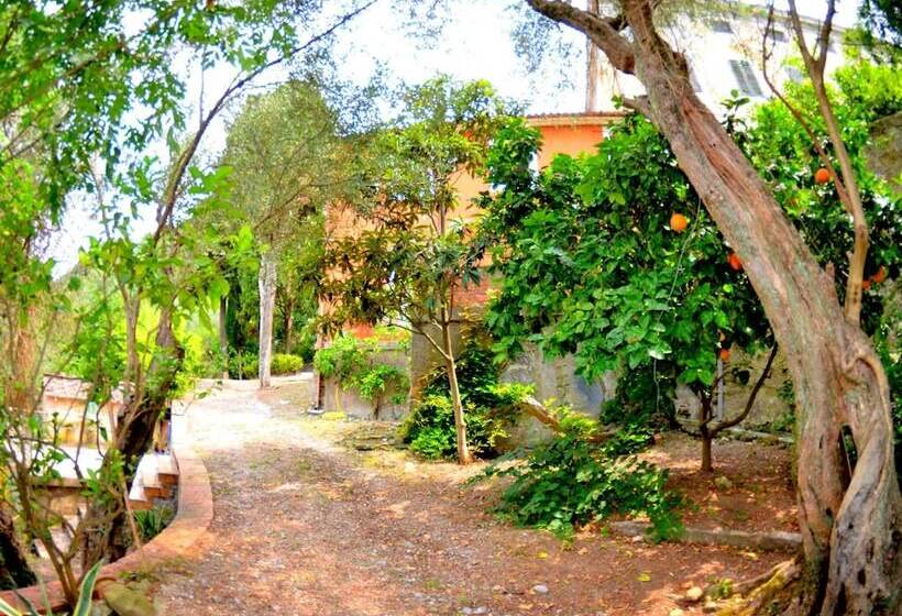 House Overlooking The Lake, In A Hilly Position