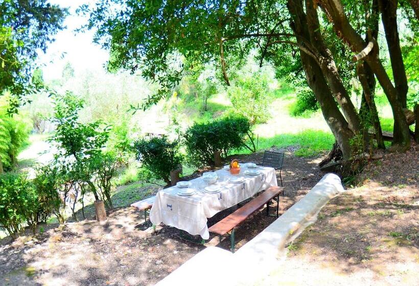 House Overlooking The Lake, In A Hilly Position