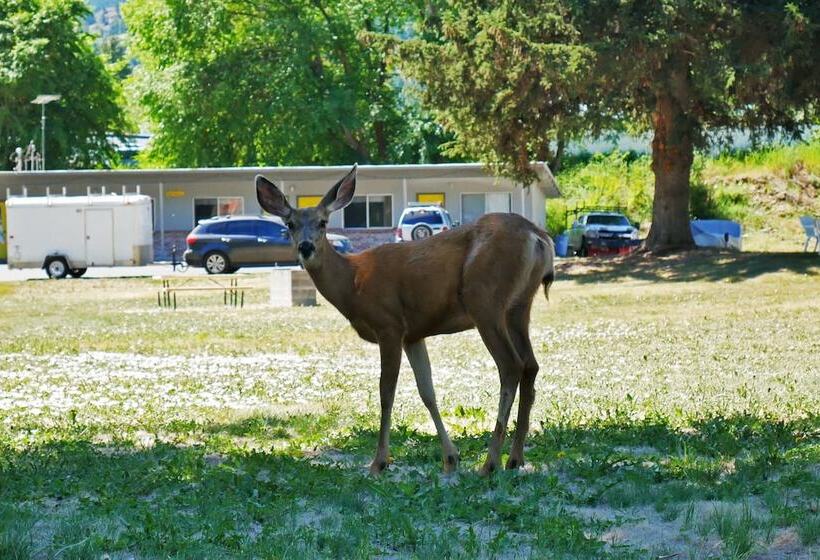 Idle A While Motel And Cabins