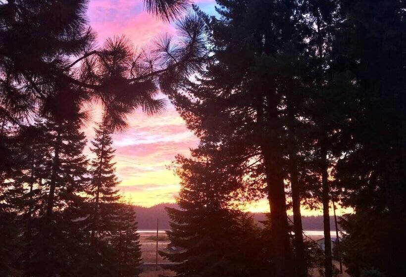 Mountain Pine Cabin   Sleeps 6   Pet Friendly