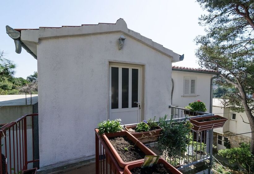 بنسيون Guesthouse Sobra