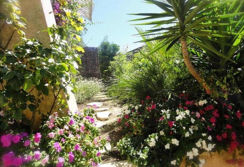 פנסיון Les Grimaldines   Maison D Hôtes