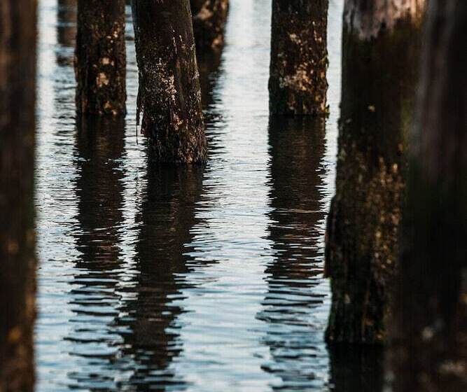 منتجع Bay Point Landing