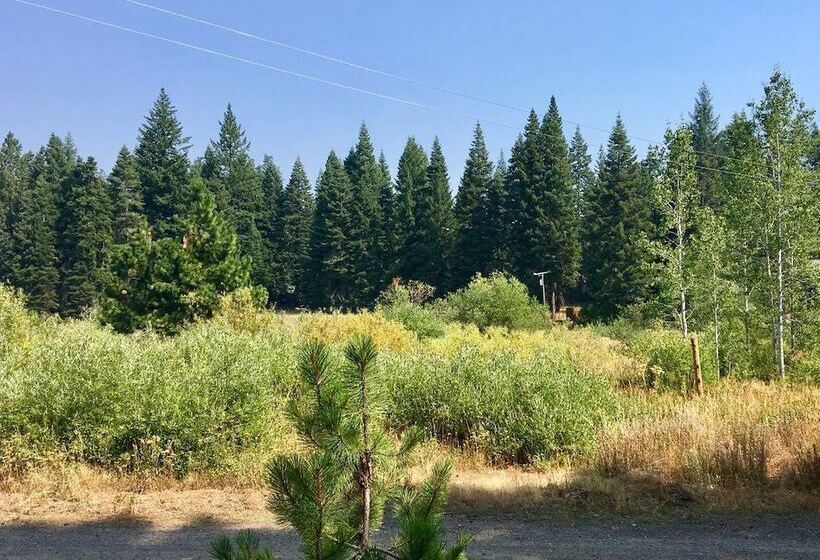 Whispering Pines Cabin Retreat