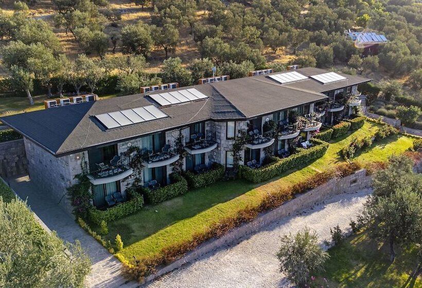 Assos Dionysos Hotel Special Class   Adults Only