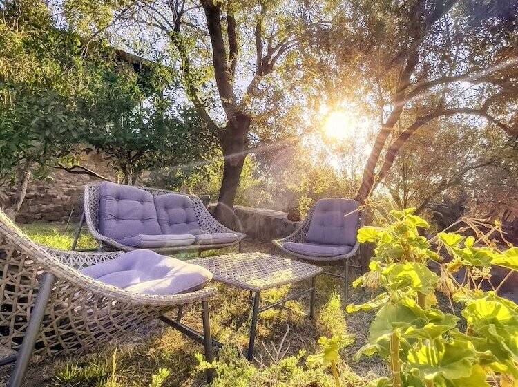 Assos Dionysos Hotel Special Class   Adults Only