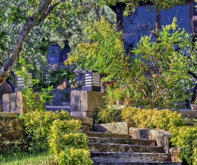 Assos Dionysos Hotel Special Class   Adults Only