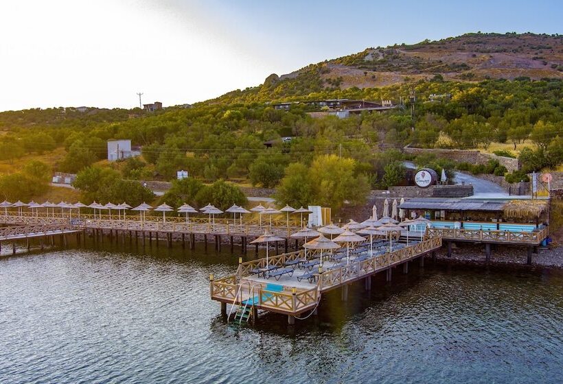 Assos Dionysos Hotel Special Class   Adults Only