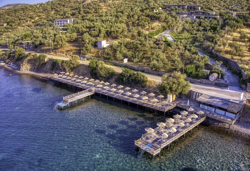 Assos Dionysos Hotel Special Class   Adults Only