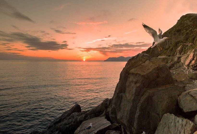 Хостел Terra Prime Suite