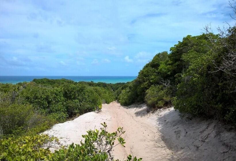 בית מלון כפרי Pousada Flor Do Caribe