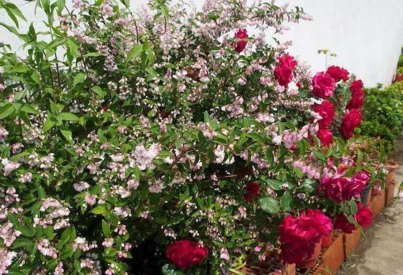 펜션 Marika Vlachou