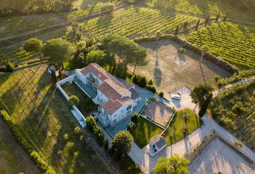 住宿加早餐  Tenuta Santa Caterina