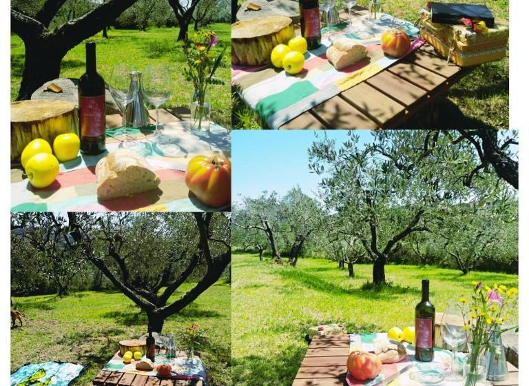 酒店 Agriturismo Antico Podere Il Polveraio