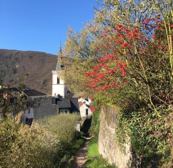 هتل Berg´s Backpacker