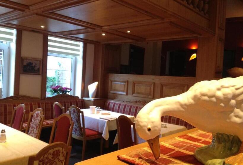 Отель Berg´s Backpacker